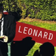 Illustration for article titled Hear a beautiful song from the new Leonard Cohen album, emOld Ideas/em, due out Jan. 31